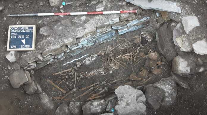 A Oliveto e Civate spuntano antiche ossa durante gli scavi di Lario Reti Holding ritrovamenti_archeologici_ossa_civate_oliveto_lario_20240314