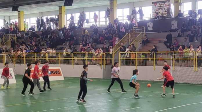 Pallamano, successo per il “Torneo delle Scuole” pallamano Molteno torneo delle Scuole