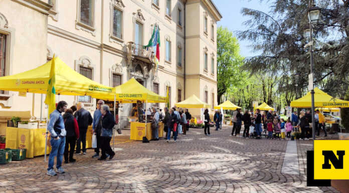Merate, torna il mercato agricolo in piazza degli Eroi
