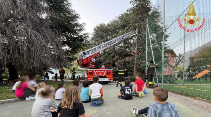 Rami pericolanti nel parco giochi, Vigili del Fuoco al lavoro davanti a un “pubblico speciale” Rami pericolanti parco bellano