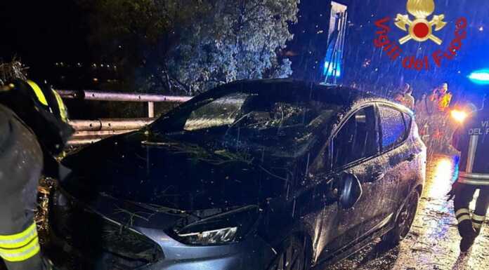 Pianta cade sulla SS340 e colpisce un’auto, smottamento a Colonno Smottamento_Colonno_SS340_202404028