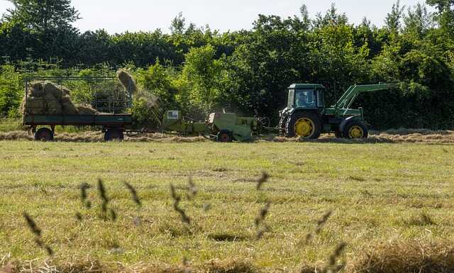 Ultimi posti disponibili per i corsi ITS Academy di Food Quality e Pastry & Bakery agroalimentare