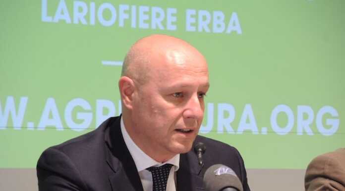 Fabio Dadati: “Ponte Kennedy a doppia corsia? Solo con modifiche alla rotonda di Malgrate” Fabio Dadati