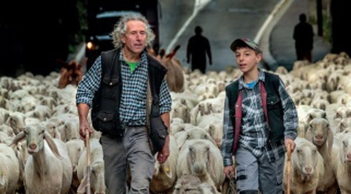 Lecco, alla Torre Viscontea la mostra fotografica “Transumanza”