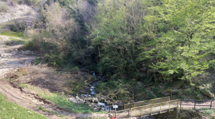 Lavori sul torrente Gandaloglio, protesta delle associazioni contro il taglio alberi