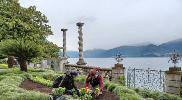 Varenna. Villa Monastero fiorisce con gli studenti del Minoprio Varenna Villa Monastero Giardino botanico piantumazione