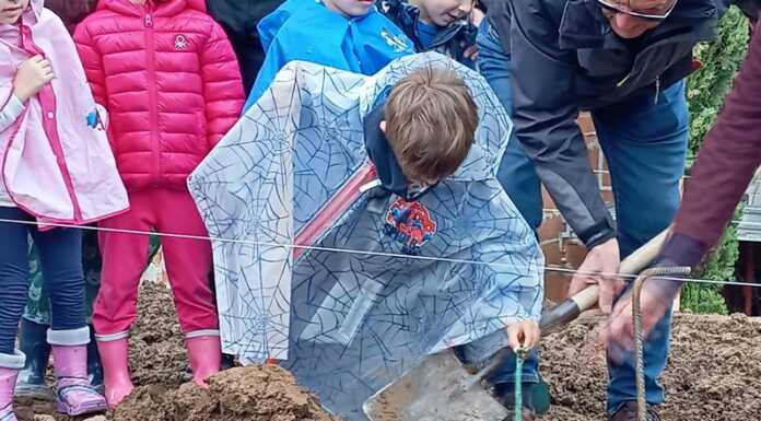 Doppio appuntamento a Merate con la festa dell’albero Vigna del prevosto nuovo Oratorio San Nicolò Lecco