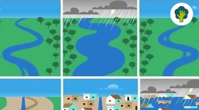 Allarme allagamenti: il problema non sono i fiumi, ma il cemento Dissesto idrogeologico