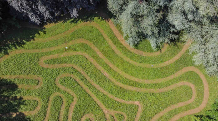 Un “labirinto verde” in mezzo al giardino botanico per tutelare la biodiversità taglio differenziato villa de ponti