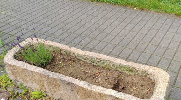 Garlate. Rubano i fiori in zona piazzale Filanda Abegg, beccati dalle telecamere Furto fiori Garlate