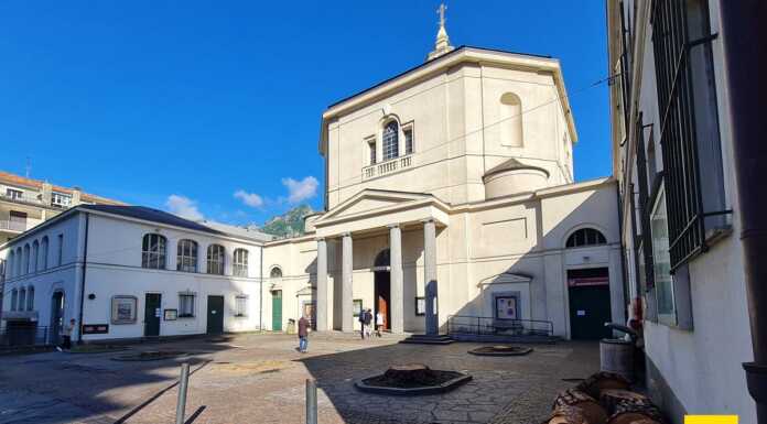 Tagliati i pini in piazza Cappuccini perché pericolosi, al loro posto 6 aceri campestri Pini_Chiesa_Cappuccini_tagliati_lecco_20240527
