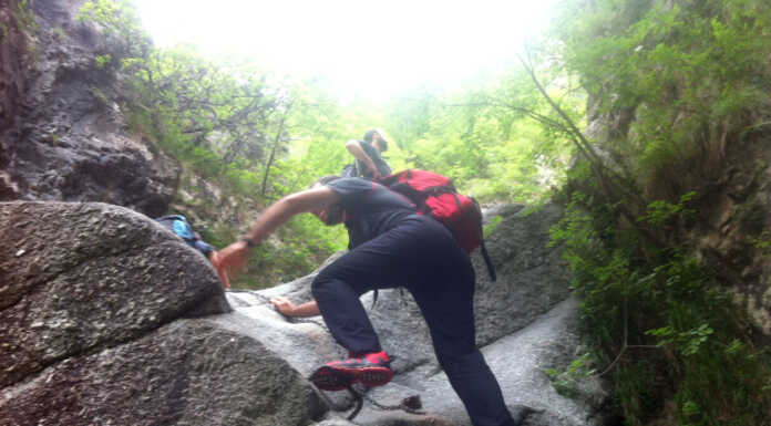 Valmadrera. Dopo lo smottamento, riapre il Sentiero delle Vasche Un'immagine del Sentiero delle Vasche