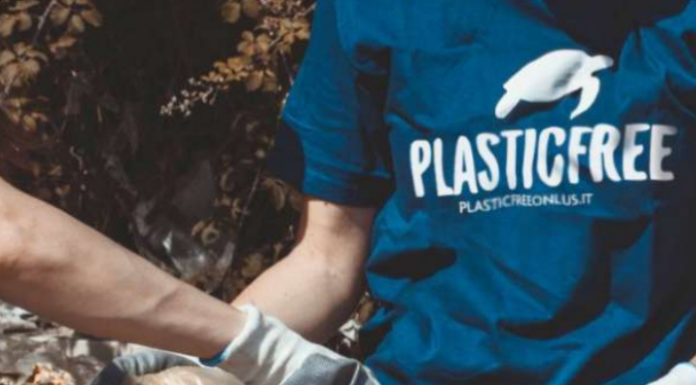 Merate: il 12 maggio la quarta giornata ecologica con Silea e Plastic Free