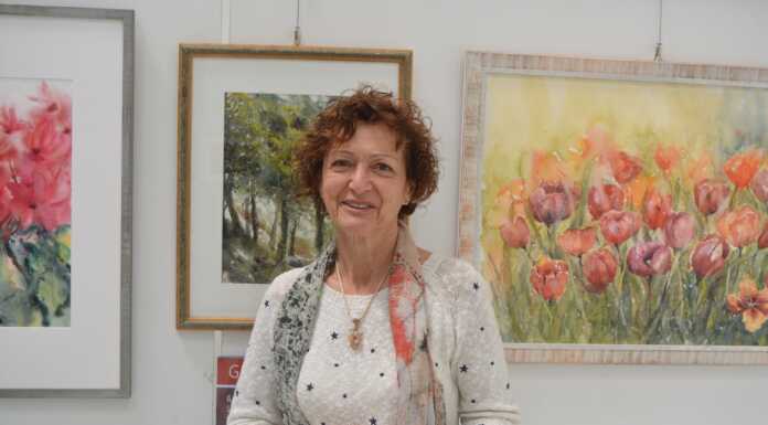 Lecco. A Palazzo del Commercio esposte le opere di Gabriella Lomboni Gabriella Lomboni