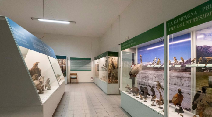 Varenna, entrata gratuita al museo ornitologico Scanagatta