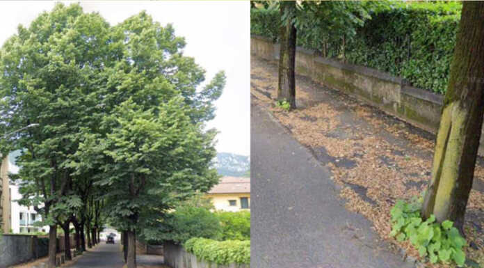 Piano rioni, da lunedì e per un mese lavori in via Solferino lavoro_via_solferino