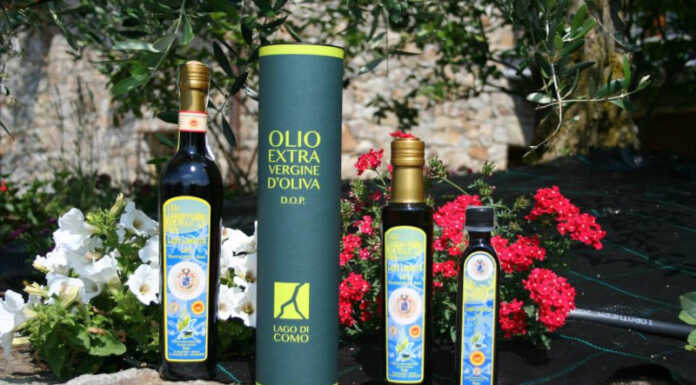 Tre oli del lago sulla guida Slow Food, nonostante una stagione difficile Olio DOP Lago di Como