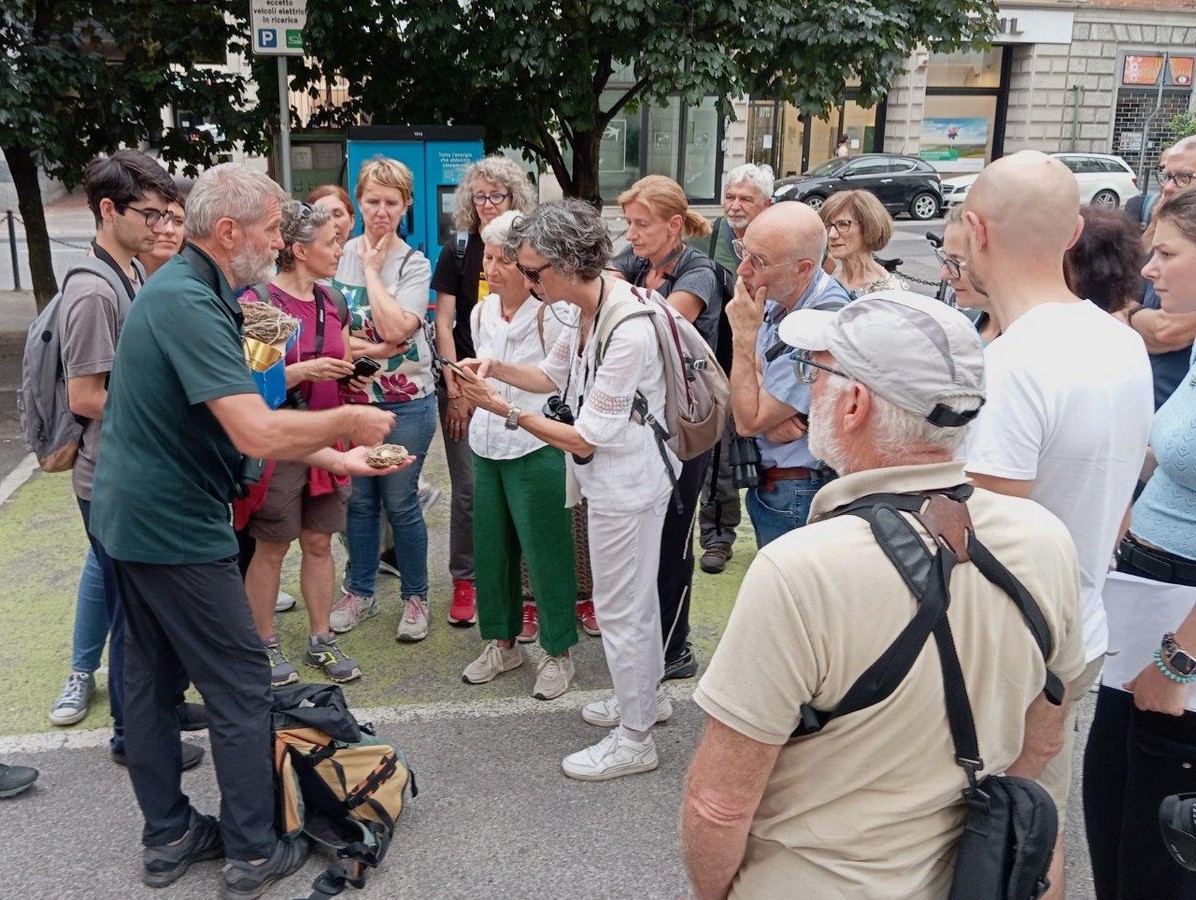 rondone_passeggiata_lecco_cros_varenna_20240608