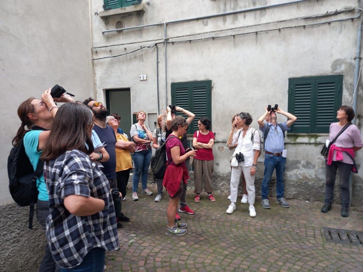 rondone_passeggiata_lecco_cros_varenna_20240608