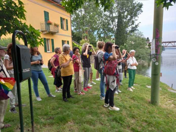 rondone_passeggiata_lecco_cros_varenna_20240608