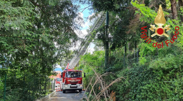 Cernobbio. Vigile del Fuoco ferito gravemente durante un intervento Le operazioni di taglio piante a Cernobbio