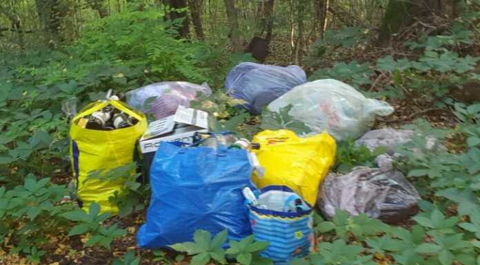 Olgiate, getta sacchi d’immondizia nel bosco: rintracciato e multato