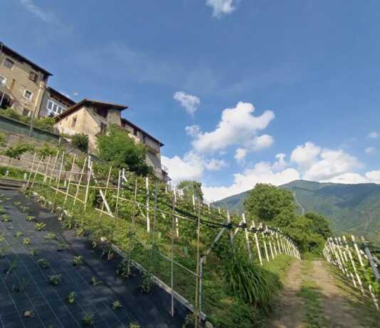 Approvato il Ddl montagna, misure di sostegno economico contro lo spopolamento Casargo Voci delle Alpi