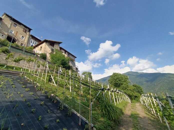 4casargo-voci-delle-alpi-valsassina-natura-cultura-20240705 Casargo Voci delle Alpi