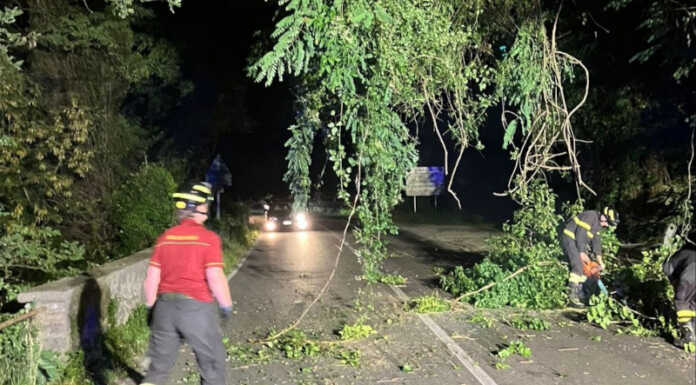 Piante sulla Sp72 a Dorio, disagi alla circolazione nella serata di martedì Piante cadute sp72 dorio