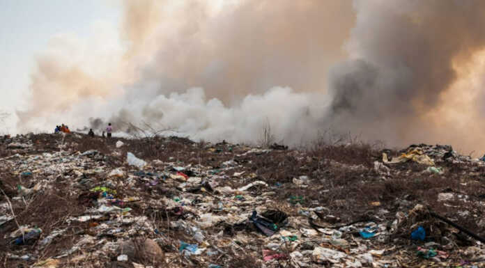 Ecomafie 2025, Lombardia seconda Regione per delitti ambientali