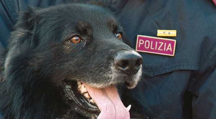 Vacanze, #SeNonTiPortoNonParto: lo spot della Polizia di Stato contro l’abbandono degli animali