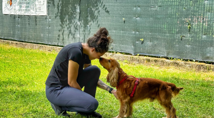 Dog Day a Cortenova: una domenica dedicata agli amici a 4 zampe