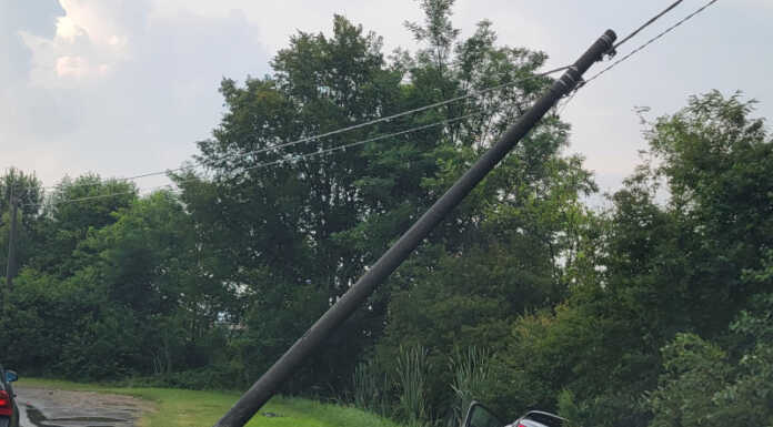 Besana Brianza. Auto finisce fuori strada e va contro un palo Incidente Besana Brianza auto contro palo