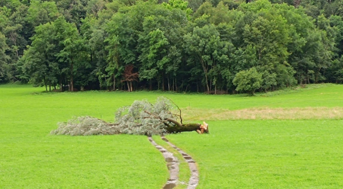 Coldiretti Como-Lecco: “Danni all’agricoltura per il maltempo”