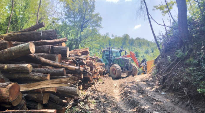 Lavori sul torrente Gandaloglio: il Circolo Ambiente “Ilaria Alpi” lancia una diffida Torrente Gandaloglio interventi sponde
