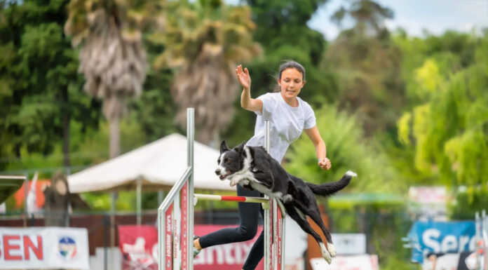 Il cane e la famiglia: legame indissolubile celebrato nella Giornata Internazionale Bea Pinchetti con il suo cane