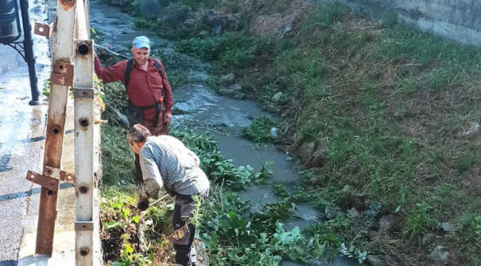 Brivio: Protezione civile al lavoro per pulire il torrente Bevera