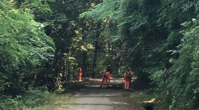 Colico. Protezione Civile al lavoro per la pulizia della strada di San Rocco Colico pulizia strada san rocco