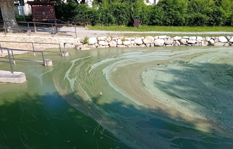 Lago Sartirana alghe