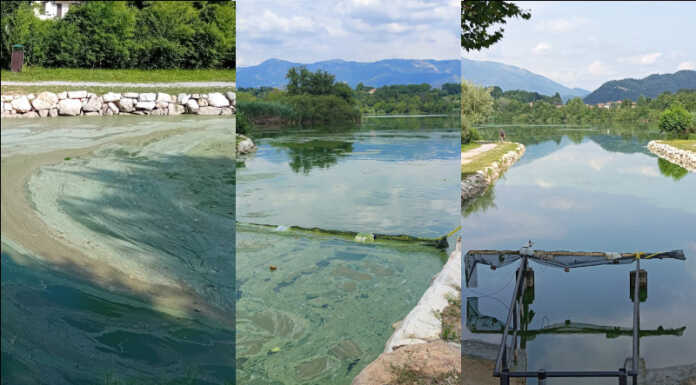 Merate, alghe e caldo: lago di Sartirana osservato speciale