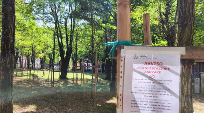 Merate, zanzare tigre: il 30 la disinfestazione di parchi e aree verdi