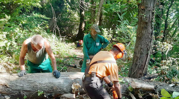 Campo di lavoro Monti di Brianza: 253 volontari uniti per la tutela del territorio