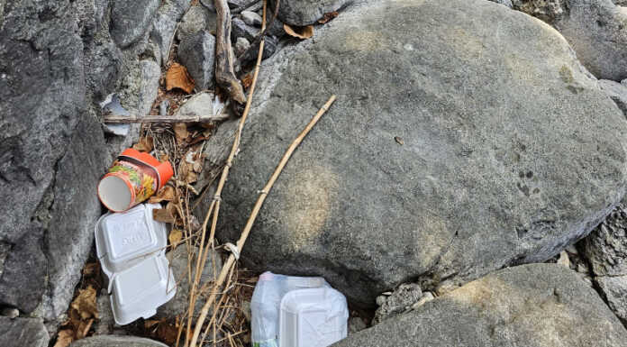 Rifiuti, nuova segnalazione: “Possibile che la città sia diventata un gigantesco cestino?” Rifiuti in via Adda a Lecco