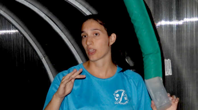 Allenare la vista per vincere: la rivoluzione della Polisportiva Futura ’96 Silvia Pelizzari