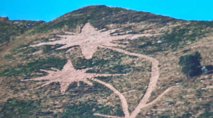 Valsassina. Anche quest’anno sboccia la stella alpina dei cacciatori Stella Alpina Valsassina