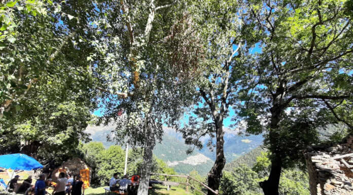 Casargo. Alpe Intelco pronta ad animarsi per la festa Alpe Intelco