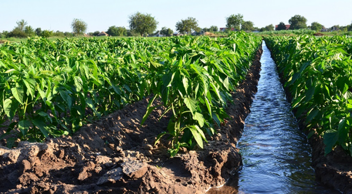 Risorse idriche, in Regione approvati i valori di ‘Deflusso Ecologico’