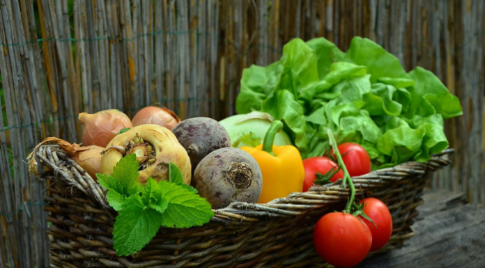 Cibo, Coldiretti Como-Lecco: “Il 93% delle tipicità nasce nei piccoli Comuni”