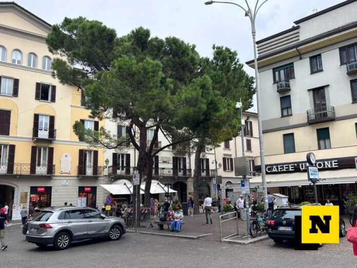 Pini domestici Piazza Garibaldi Via Roma Lecco