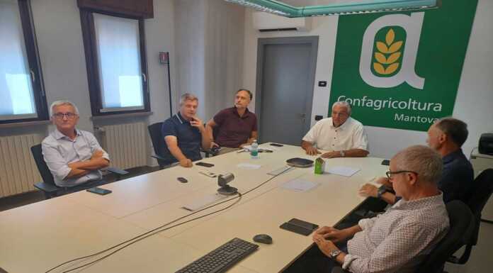 Peste suina, l’assessore Beduschi: “In vigore la nuova ordinanza, azioni drastiche ma necessarie”